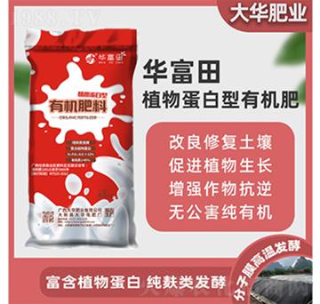 ֲ�ﵰ�����ЙC(j��)����-�A����-���A����