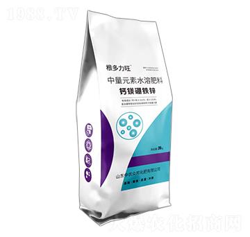 �}�V���F�\-��������-���r����