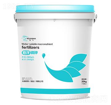 ���R�Ҹ����-���·���