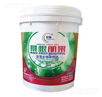 ��������-������������}-�Ȭ����H��