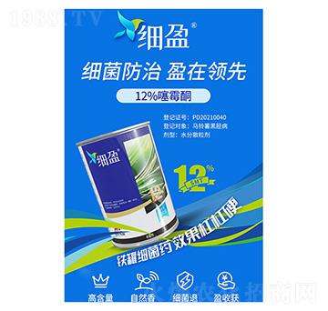 12%��ùͪ-��ӯ-�����A��