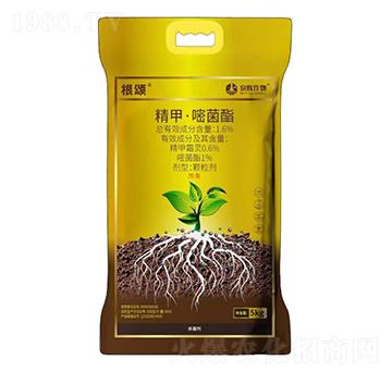 1.6%精甲·嘧菌酯-根頌-泉輝作物
