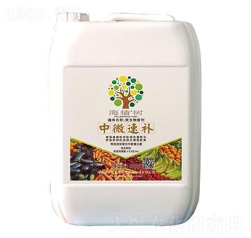 中微速補-海植樹