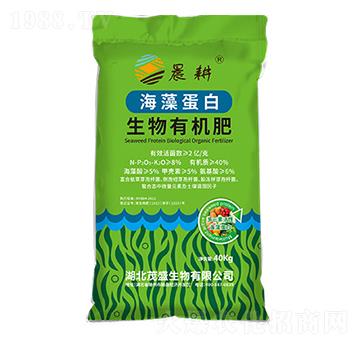 ���嵰�������ЙC��-ïʢ����