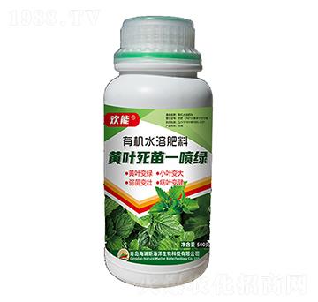 �S�~����һ���G-�g��-����˹