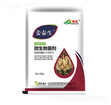 ������(zhu��n)��΢�������-��̩��-�n��-�n��ʘI(y��)