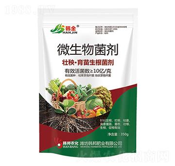 ������������΢�������-�n��-�n��ʘI(y��)