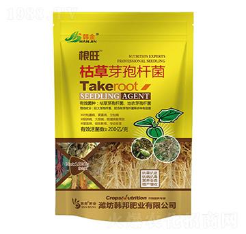 �ݲ�ѿ�ߗU��-����-�n��-�n��ʘI(y��)