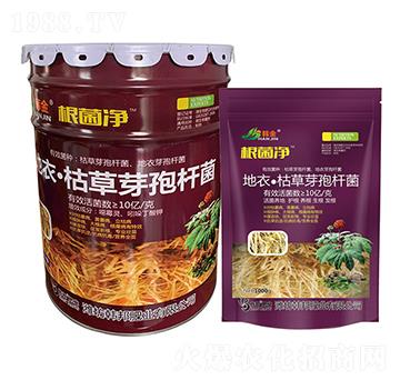 ���¡��ݲ�ѿ�ߗU��-������-�n��-�n��ʘI(y��)