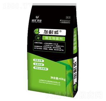 ΢�������-������-Ψ��