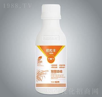 �����S���w�����ã�-Ӣ¶�����S