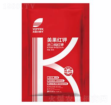 �����t�-Ӣ¶�����S