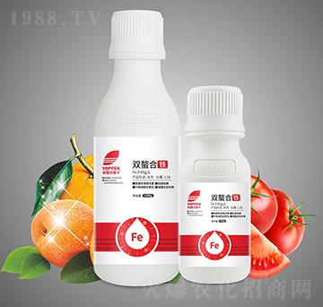 �p�����F-Ӣ¶�����S