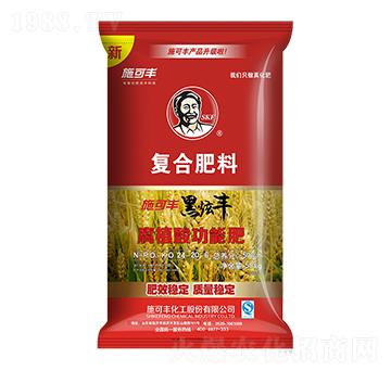 腐植酸功能復(fù)合肥料24-20-6-黑炫豐-賽洋化工