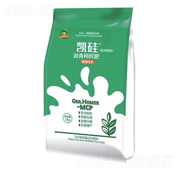 �����辷�-�P��-�̬�����