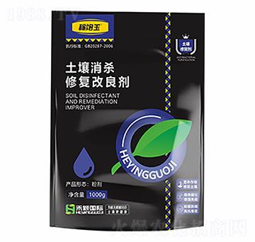 ���������ޏ�(f��)������-�̷f����