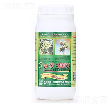 �W����ѿ-�W��