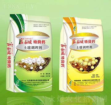 �����{�턩-��̩����ؐ