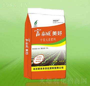 ����Ԫ�ط���-��̩������-�º��S