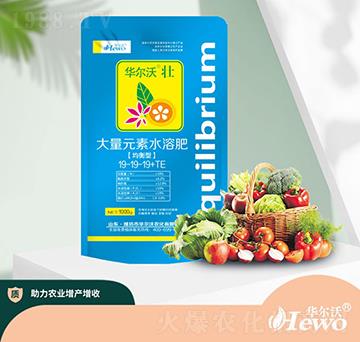 均衡型大量元素水溶肥19-19-19+TE-華爾沃