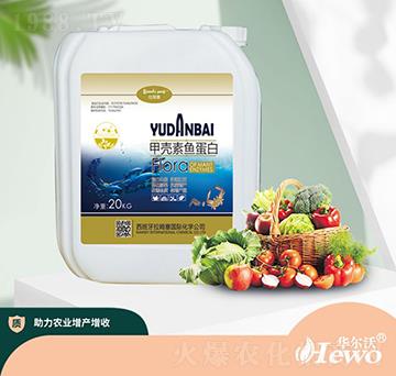 甲殼素魚蛋白-拉姆塞-華爾沃