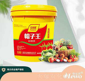 圣女果專用-拉姆塞-華爾沃