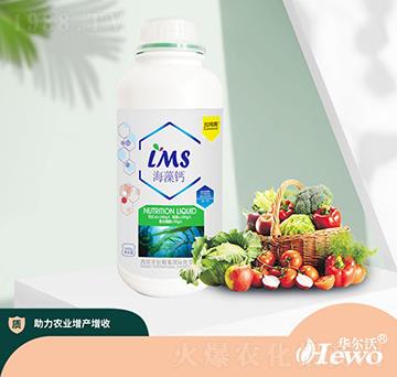 海藻鈣-拉姆塞-華爾沃