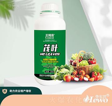 茂葉藻源生物刺激素-拉坶賽-華爾沃