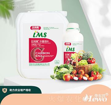 中量微補(bǔ)-拉坶賽-華爾沃