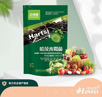 哈茨木霉菌-拉坶賽-華爾沃