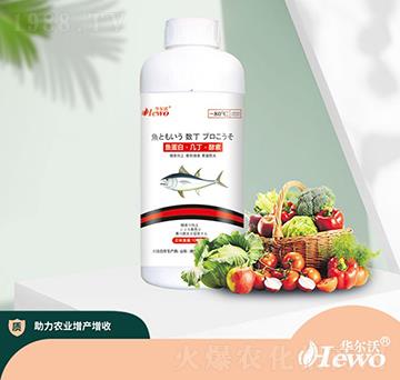 魚蛋白·幾丁·酵素-華爾沃