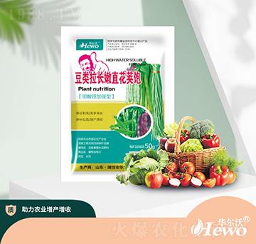 豆類拉長(zhǎng)嫩直花莢飽-華爾沃