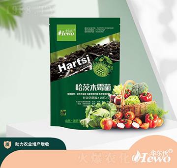 哈茨木霉菌-華爾沃