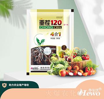 重茬120（新一代）-華爾沃