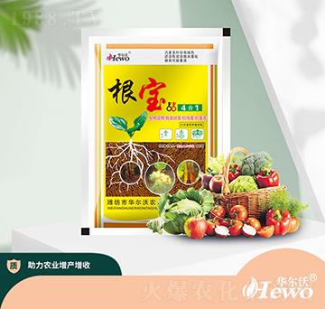 根寶四合一-華爾沃