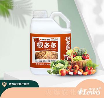 5kg根多多-華爾沃