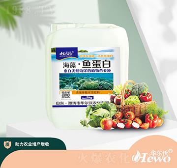 海藻·魚蛋白-華爾沃