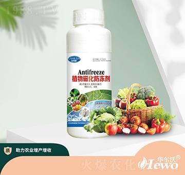 植物磁化防凍劑-華爾沃