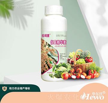 促花精華素-華爾沃