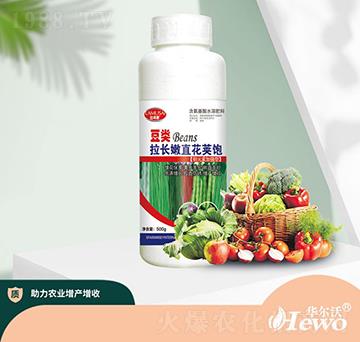 500g豆類拉長(zhǎng)嫩直花莢飽-華爾沃