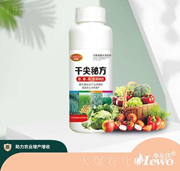 干尖秘方-華爾沃