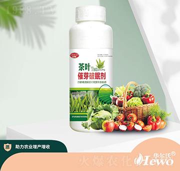 茶葉催芽破眠劑-華爾沃