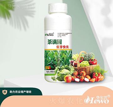 茶滿園催芽快長(zhǎng)-華爾沃