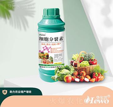 細(xì)胞分裂素-華爾沃