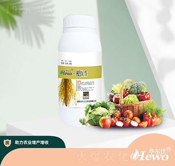 根醫(yī)生（瓶）-華爾沃