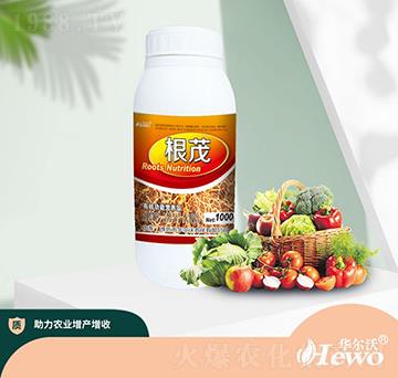 根茂（瓶）-華爾沃