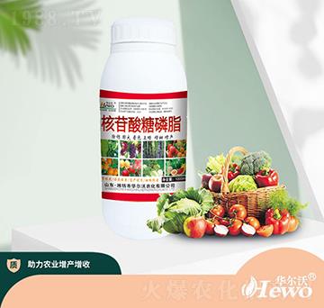 核苷酸糖磷脂-華爾沃