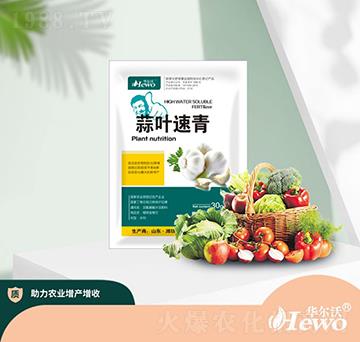 蒜葉速青-華爾沃