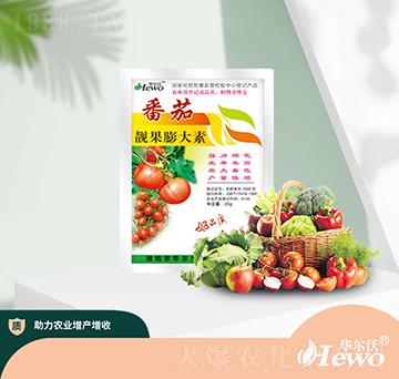 番茄靚果膨大素-華爾沃