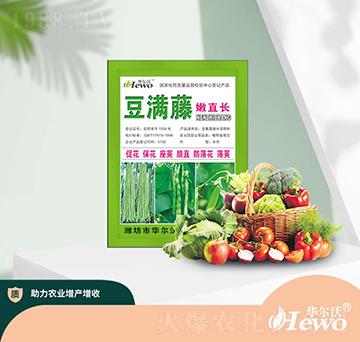 豆?jié)M藤嫩直長(zhǎng)-華爾沃